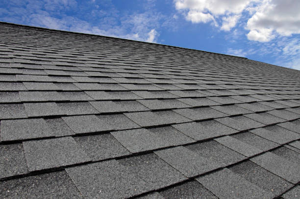 Best Storm Damage Roof Repair  in Palisades Park, NJ