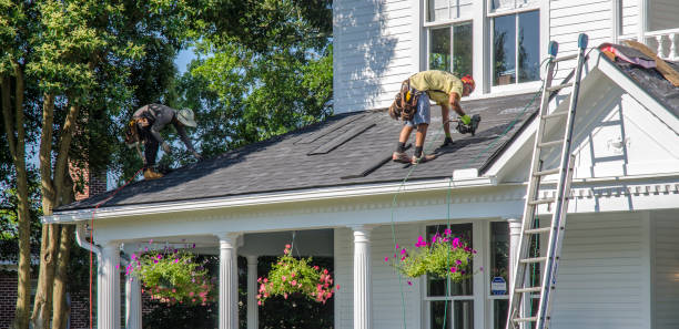 Best Roof Insulation Installation  in Palisades Park, NJ